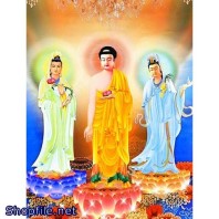 Phật Giáo đẹp ấn tượng
